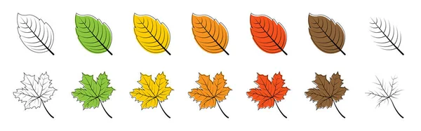 Blätter Saisonblatt Blätter Verschiedener Farbe Isoliert Blattvektorsymbole Vektorillustration — Stockvektor