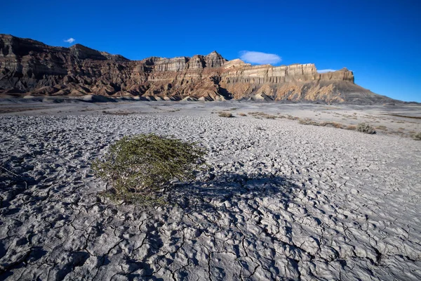 Vista Panorâmica Torno Alstrom Point Lake Powell Page Arizona Estados — Fotografia de Stock