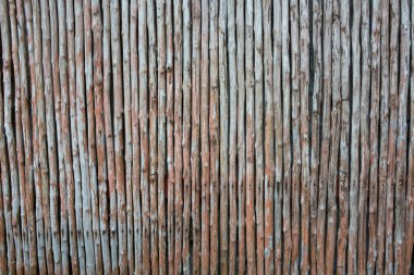 dikey Bambu duvar arka plan sorunsuz doğal doku