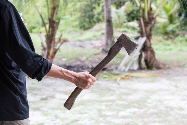 Ormanın içinde bir adamın elinde ahşap saplı balta