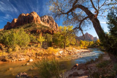 Görünümü virgin river, Zion National Park içinde güneybatı ABD, Springdale, Utah yakınlarında bulunan ve bekçi dağ  