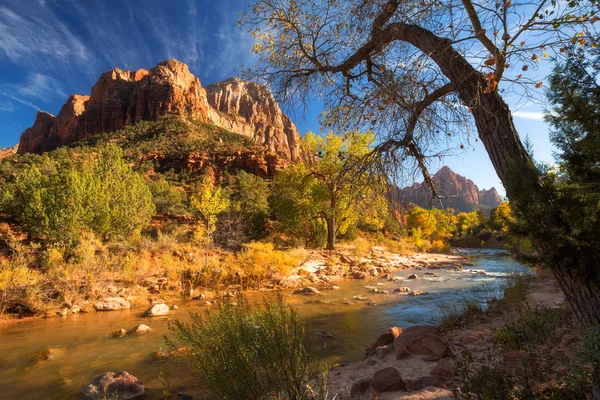 View Watchman Mountain Virgin River Zion National Park Located Southwestern — Stock Photo, Image