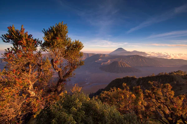 Vulcão Mount Bromo Gunung Bromo Durante Pôr Sol Ponto Vista — Fotografia de Stock