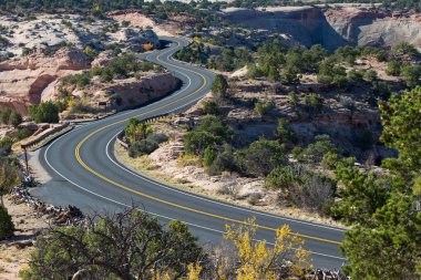 Yol ve ağaçlar Canyonlands Milli Parkı, Utah, ABD