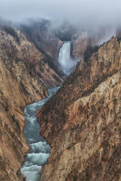 Brouillard Matinal Élève Dessus Des Basses Chutes Rivière Yellowstone Dans — Photo
