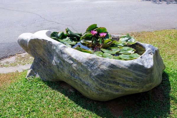 屋外の庭で大きな岩を植え池の蓮を飾る — ストック写真