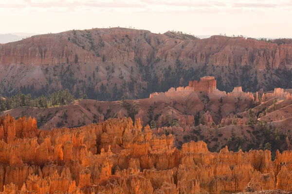 Scenic View Stunning Red Sandstone Hoodoos Bryce Canyon National Park — Stock Photo, Image