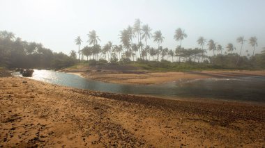 Hindistan cevizi hurma ağaçları ile tropikal plaj manzarasına. Koh Samui, Thailan