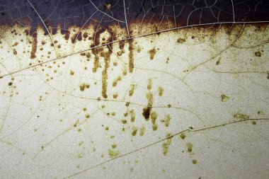 paslı demir arka plan doku kırık boya