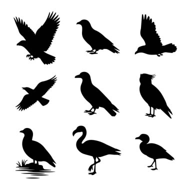 Uçmakta olan çeşitli kuşların siluet koleksiyonu ve beyaz arka planda izole edilmiş dallara tünemiş.