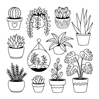 El yapımı saksı bitkileri ve sulu bitkiler koleksiyonu, beyaz arka planda izole edilmiş, botanik çizimler için mükemmel ve ev dekorasyonu teknolojisi arka planında