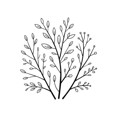 Beyaz arka planda izole edilmiş, sanatsal ve doğal tasarım teknolojisi arka planına uygun, küçük yaprak ve tomurcuklara sahip soyut botanik çizimler.