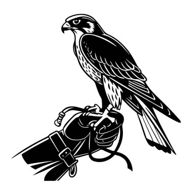 Beyaz arka planda izole edilmiş, şahin eldivenine tünemiş bir şahinin siyah beyaz çizimi