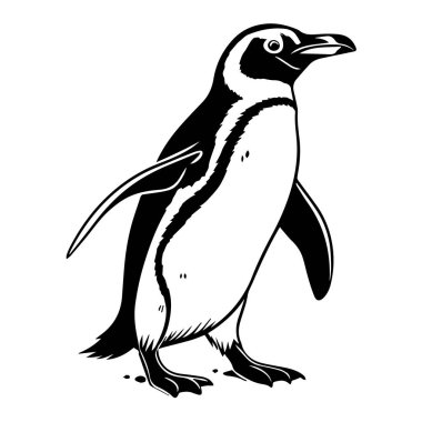 Beyaz zemin üzerinde duran, beyaz arka planda izole edilmiş bir penguenin siyah ve beyaz çizimi