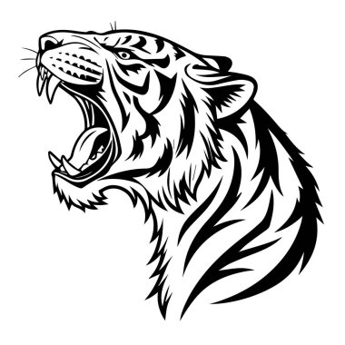 Kükreyen kaplan kafası, vahşi ve güçlü, beyaz arka planda izole.