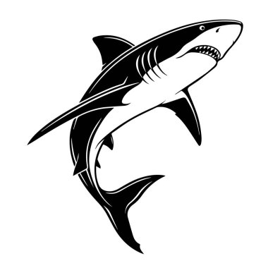 Beyaz arka planda izole edilmiş, keskin dişleri ve güçlü yüzgeçleri olan, tehlikeyi ve okyanusu simgeleyen tehditkar bir köpekbalığı çizimi.