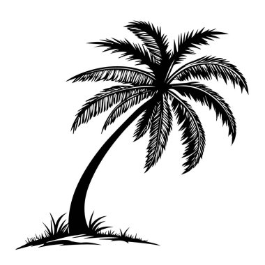 Beyaz arka planda yaprakları ve otları olan eğimli bir palmiye ağacının silüeti.