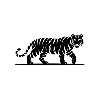 Siyah siluet çizgili yürüyen bir kaplan, beyaz arka planda izole edilmiş