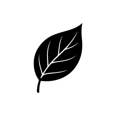 Damarlı tek yaprak, beyaz arkaplan teknolojisinde izole edilmiş.