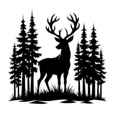 Çam ağaçlarından oluşan bir ormanda büyük boynuzları olan görkemli bir geyik.