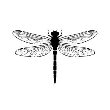 Black silhouette of a dragonfly with detailed wings, isolated on a white background