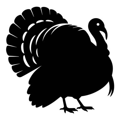 Siyah silueti olan kuyruk tüyleri yayılmış bir erkek hindi, beyaz arka plan teknolojisinde izole edilmiş.