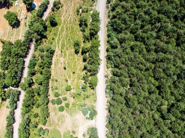 Istanbul Yakacık orman yolu havadan uçak görünümü. Uppser yan şehir hayatının.