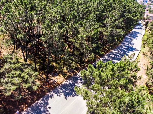 Vista Aérea Drone Forest Way Estambul Yakacik Parte Superior Vida —  Fotos de Stock