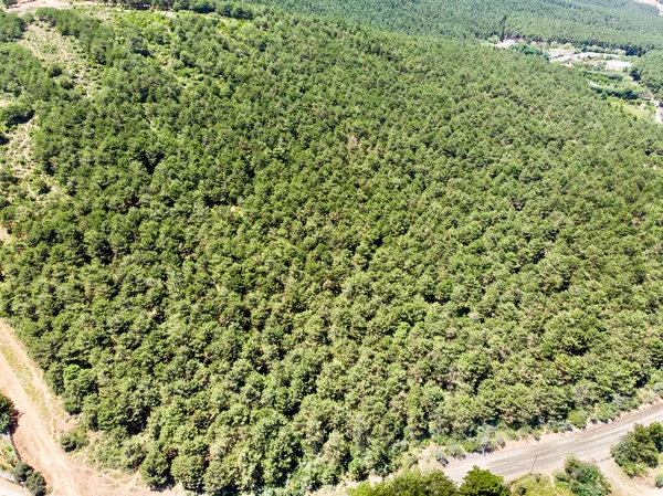 Aerial Drone View of Forest Way in Istanbul Yakacik. Uppser Side of the City Life.