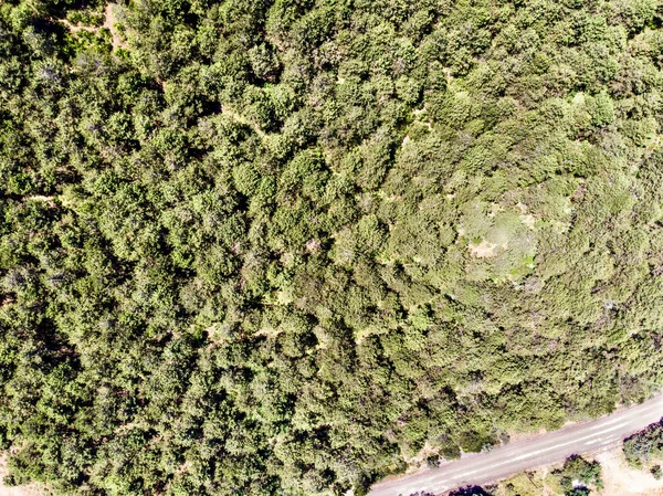 Luftaufnahme Des Waldweges Istanbul Yakacik Uppser Seite Des Stadtlebens — Stockfoto