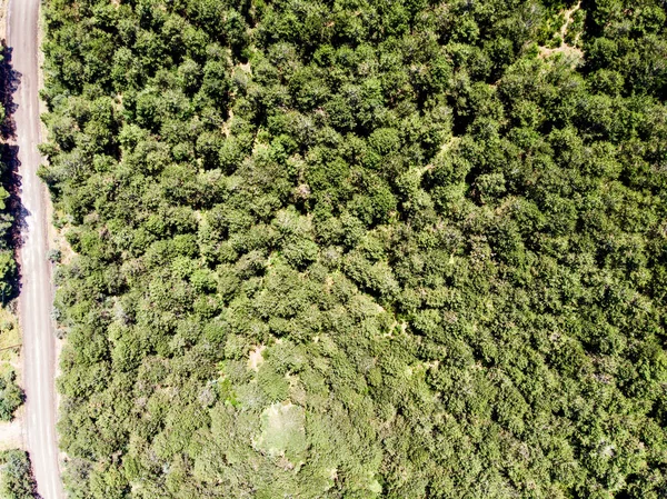 Luftaufnahme Des Waldweges Istanbul Yakacik Uppser Seite Des Stadtlebens — Stockfoto