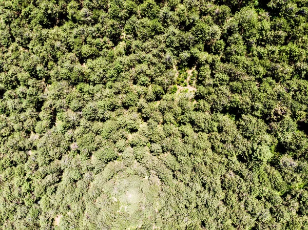 Aerial Drone View of Forest Way in Istanbul Yakacik. Uppser Side of the City Life.