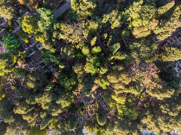 Vista Aérea Del Cementerio Merkezefendi Con Árboles Mevlanakapi Estambul Turquía —  Fotos de Stock