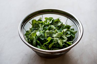 Paslanmaz Çelik Metal kevgir içinde taze nane yaprakları. Organik bitkisel gıda.