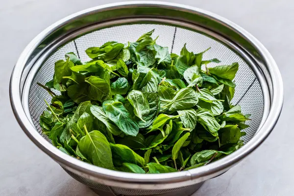 Fresh Mint Leaves Stainless Steel Metal Colander Organic Herbal Food — Stock Photo, Image