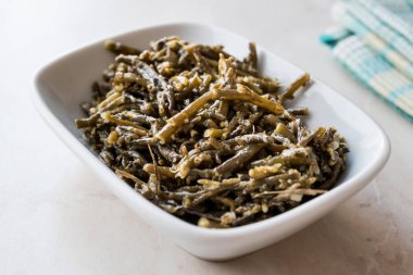Samphire kıyı bitki olarak da bilinen deniz glasswort pickleweed veya Salicornia salata fasulye. Organik gıda.