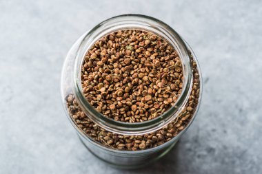 Sumak tohum kavanoz / hasat Malosma Laurina Laurel Sumak. Organik baharat.