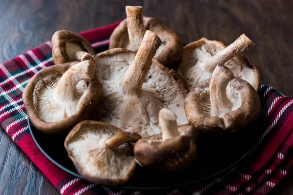 Seta Shiitake Placa Negra Sobre Superficie Madera Oscura Alimentos Ecológicos — Foto de Stock