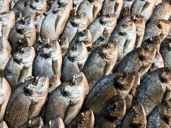 生縫い目鯛魚市場バザール イスタンブールで氷の上の販売のため 有機食品 — ストック写真