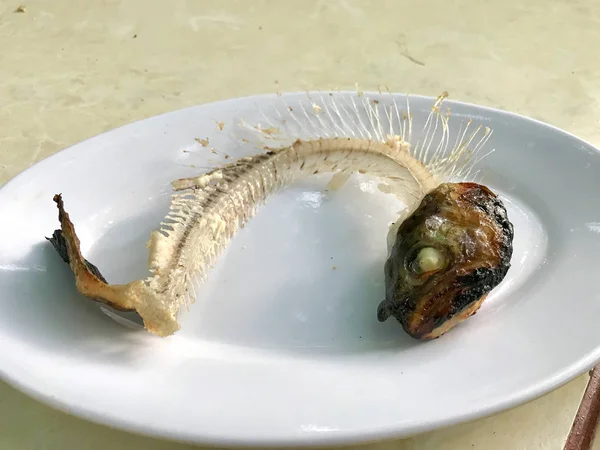 Skeleton Fish Bone in Plate / Eaten Leftover Seafood.