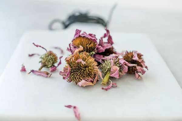 Chá de ervas seco Echinacea Purpurea pronto para usar . — Fotografia de Stock