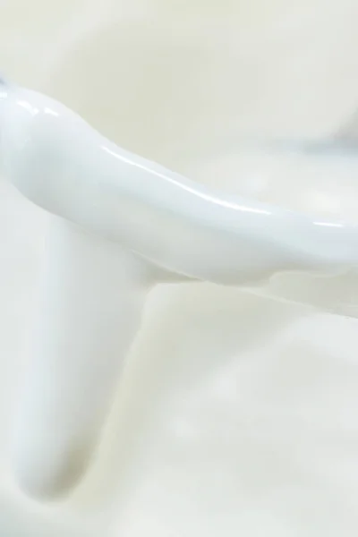 Домашний козлиный йогурт в стеклянной чаше с ложкой / пробиотическим заварным кремом . — стоковое фото