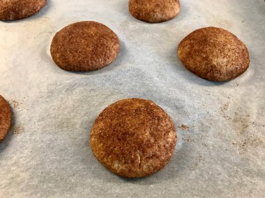 Fırın Tepsisi ile Fırın Kağıdı üzerine Tarçınlı Kurabiye Snickerdoodle.