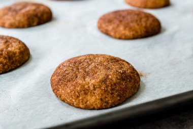 Fırın Tepsisi ile Fırın Kağıdı üzerine Tarçınlı Kurabiye Snickerdoodle.