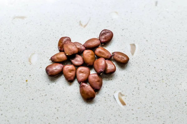 Carob Seeds and Pods Carats / Locust Beans Ready to Use. — Stok Foto