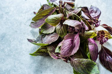 Bir demet Mor Basil Yaprakları / Violet Kullanmaya Hazır.