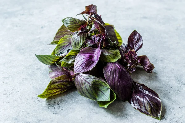 Bunch of Purple Basil Leaves / Violet Ready to Use.