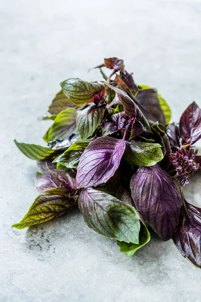 Bunch of Purple Basil Leaves / Violet Ready to Use.