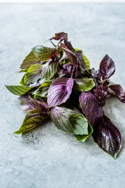 Bunch of Purple Basil Leaves / Violet Ready to Use.