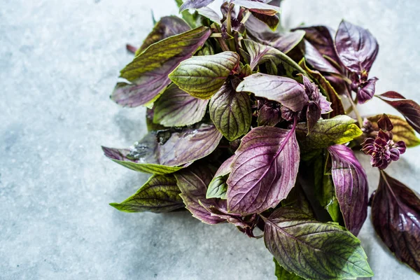 Bir demet Mor Basil Yaprakları / Violet Kullanmaya Hazır.